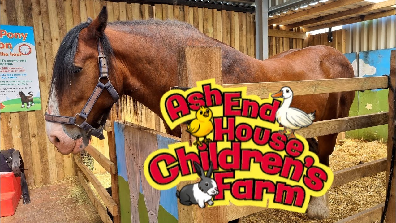 Y1 Ash End Farm Trip REMINDER