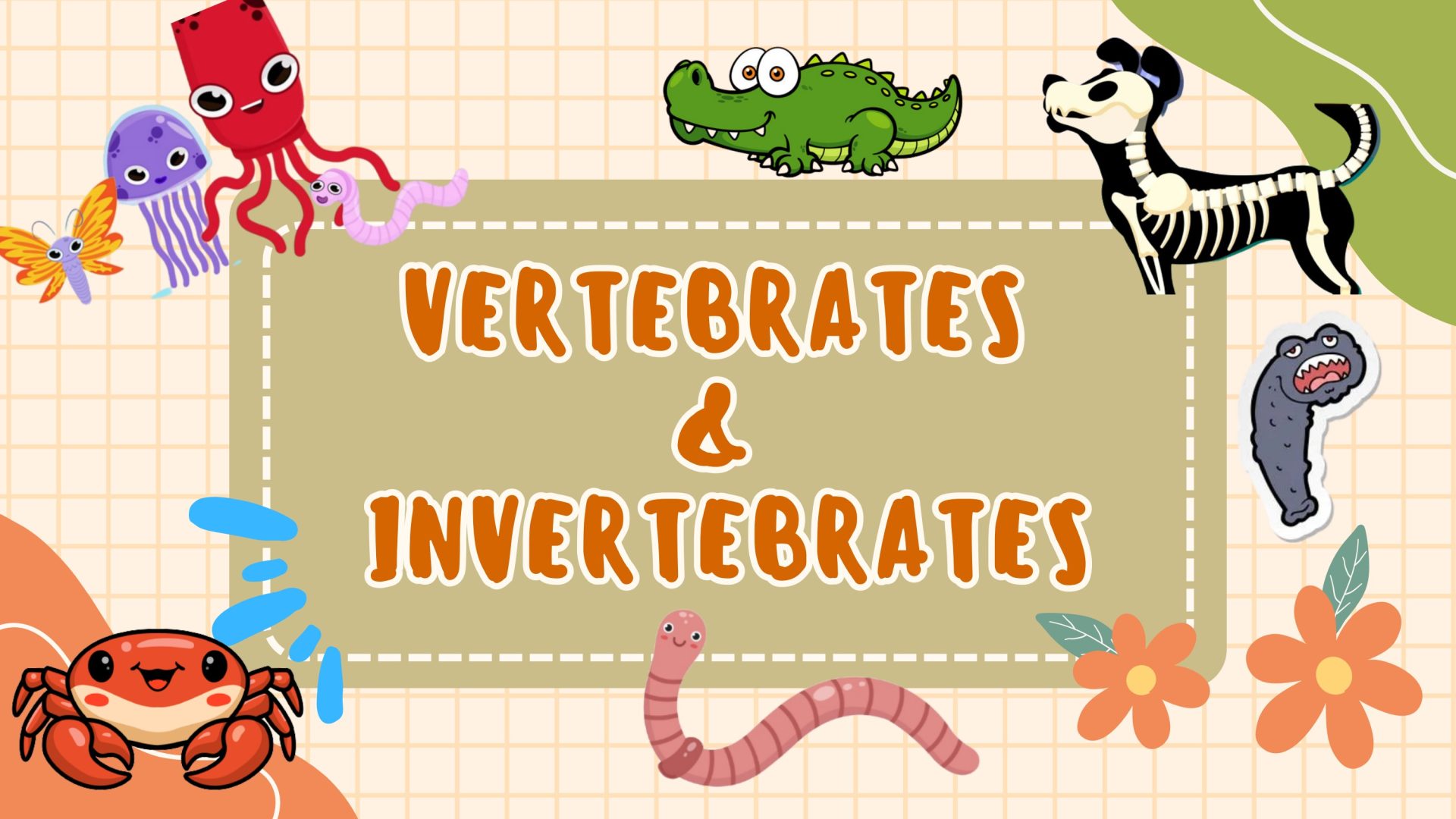 Vertebrate or invertebrate?