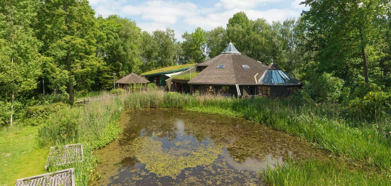 Y3 Trip to Bishops Wood