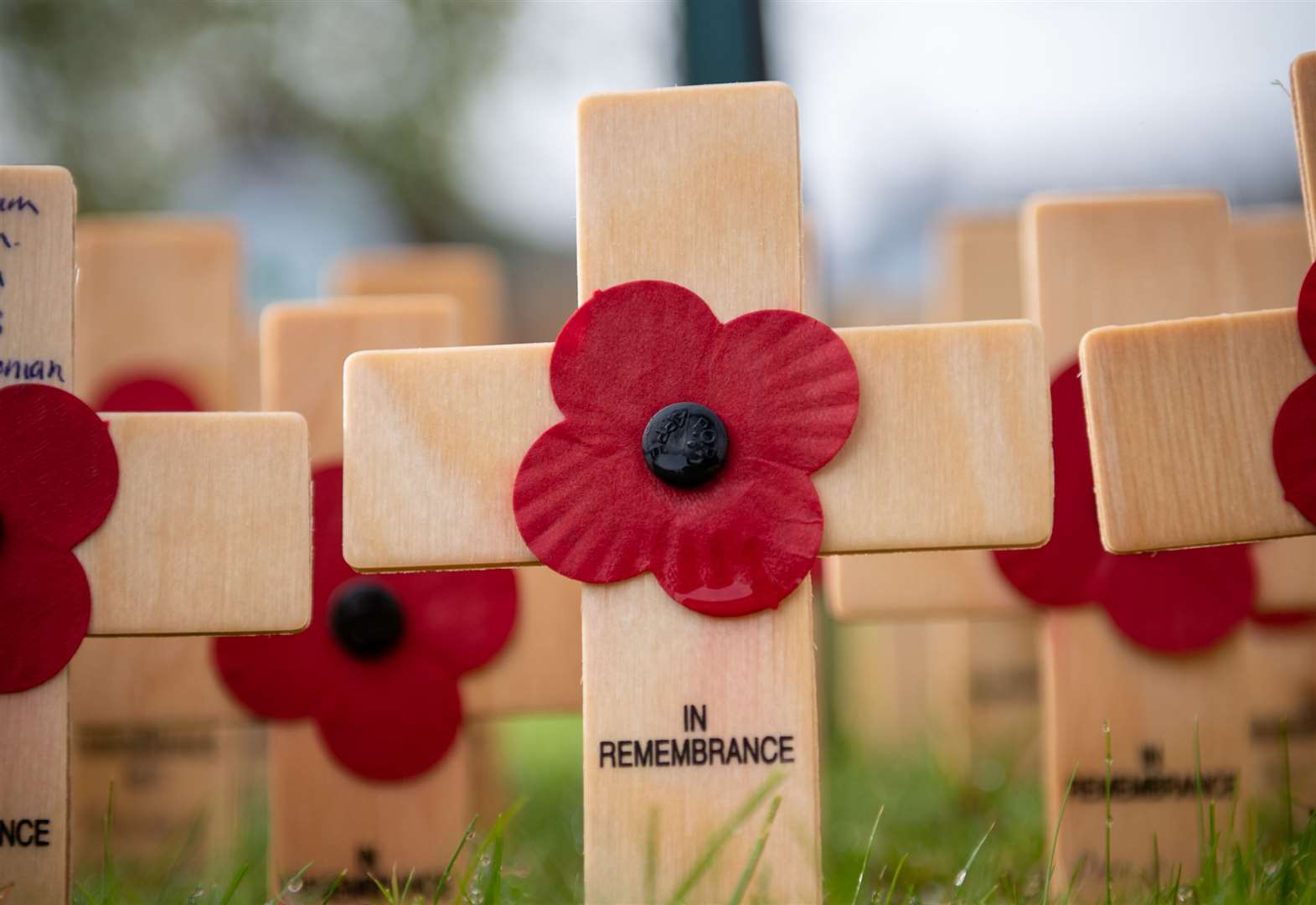 Remembrance Service Friday 8th November – Year 5 School Councillors