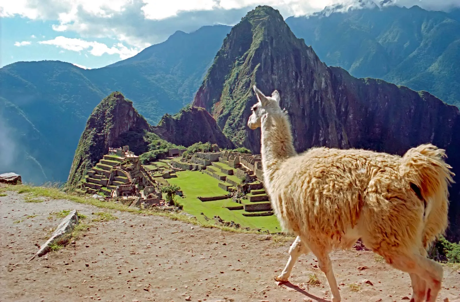 2 Blue in Peru